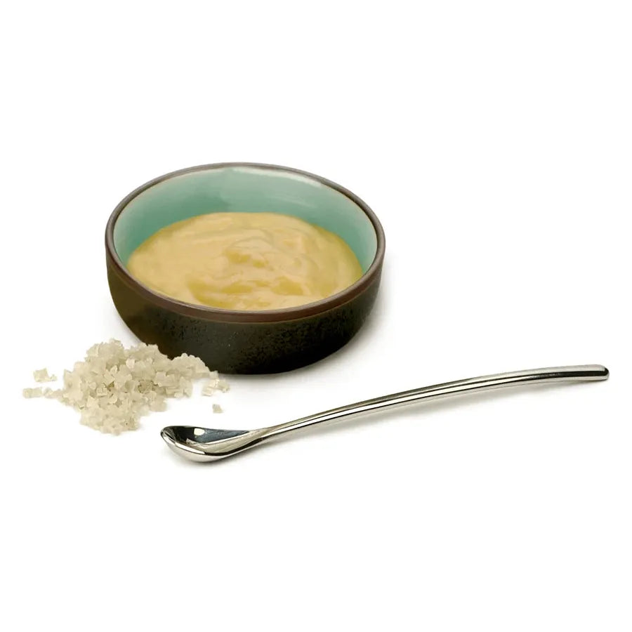 Salt Condiment Spoon
